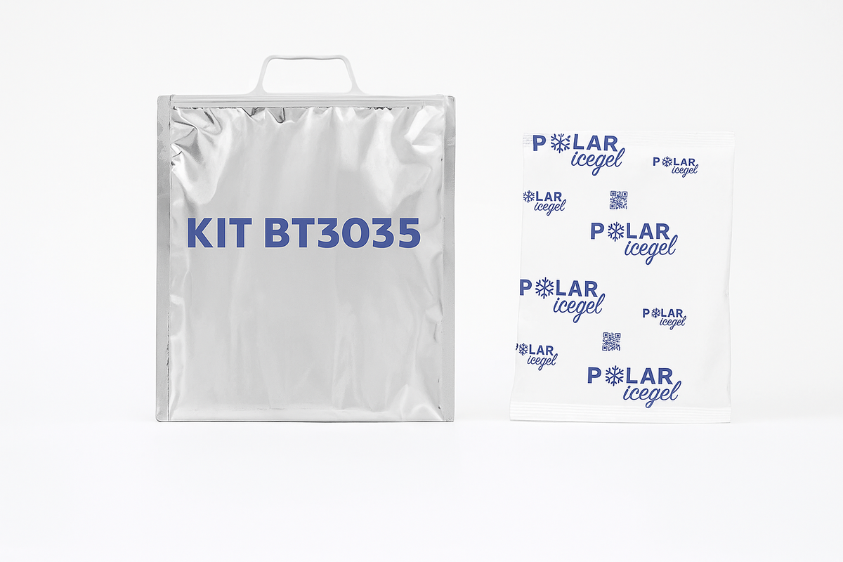 10 30x35 thermal bags with handle and synthetic ice.